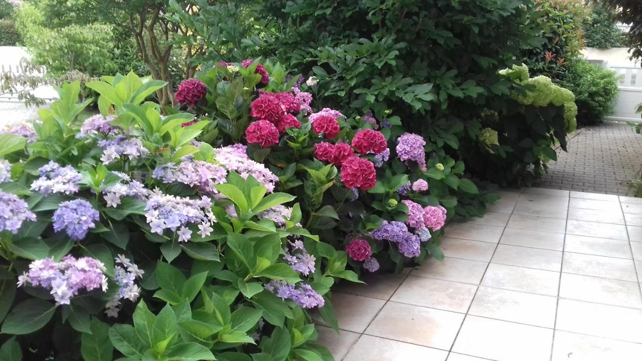 Le Jardin De Nemo Bed & Breakfast Biscarrosse Exterior photo